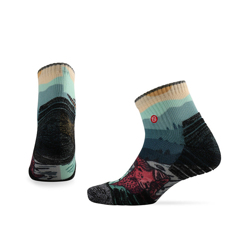 PATTERN TRAINING LT Merino Wool Ankle Socks